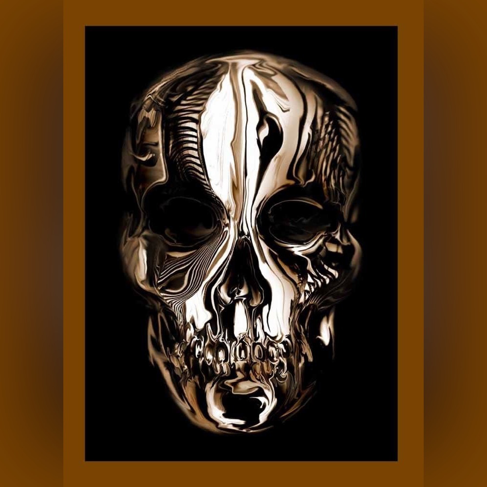 Alexander McQueen Metallic Skull Coffee Table Book LookBook